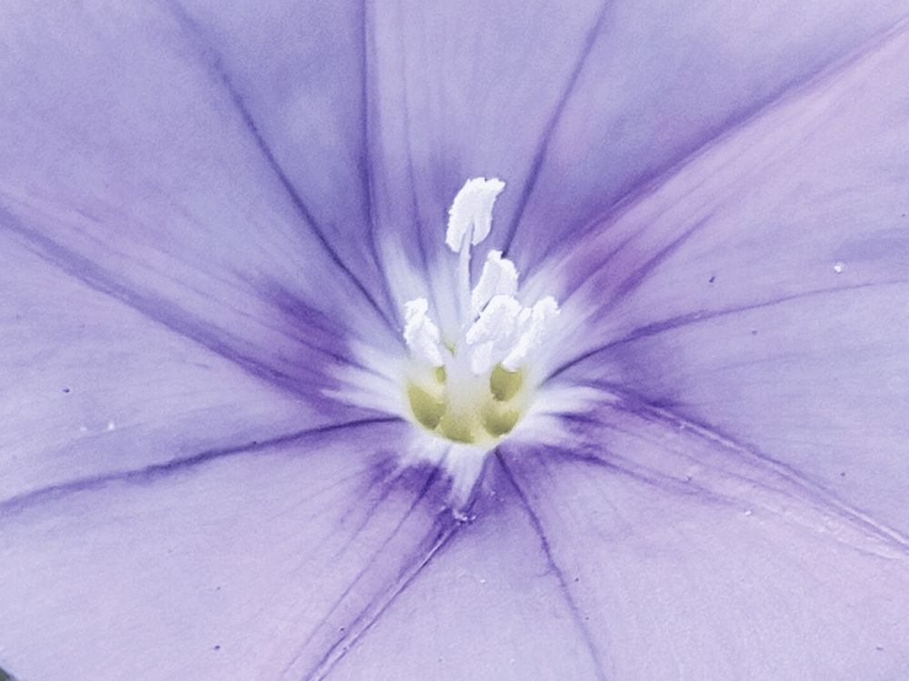 Photograph by Kirsteen Isles