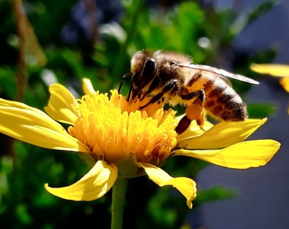 Photograph by Kirsteen Isles