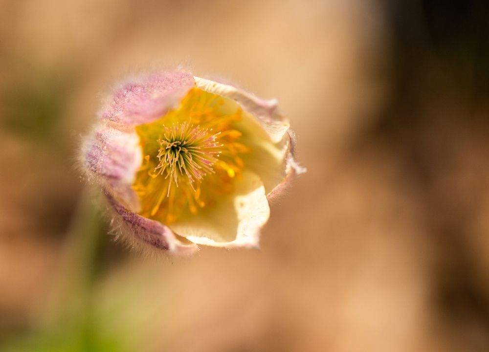 Photograph by Denis Phominov