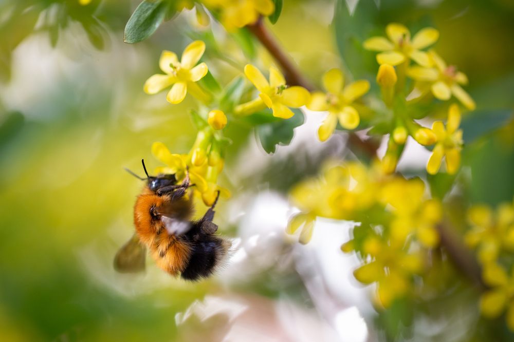 Photograph by Denis Phominov