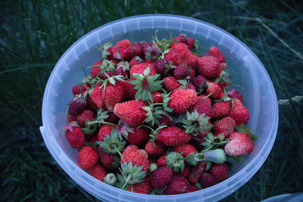 Photograph by Мухаметов Сергей