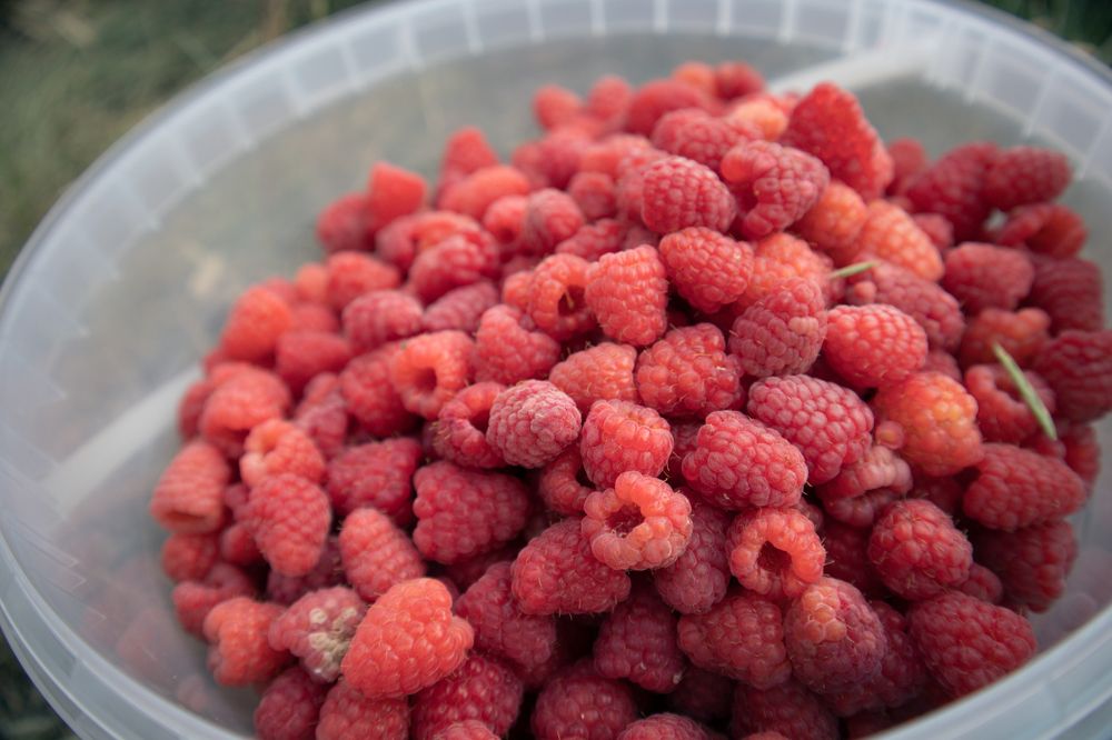 Photograph by Мухаметов Сергей