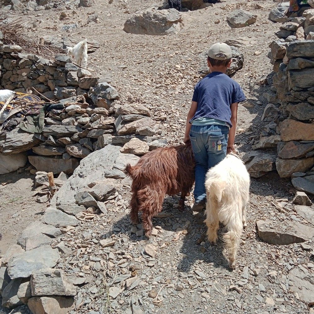 Photograph by Рустамбек Аҳмадзода