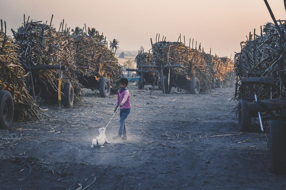 Photograph by Dnyaneshwar Vaidya