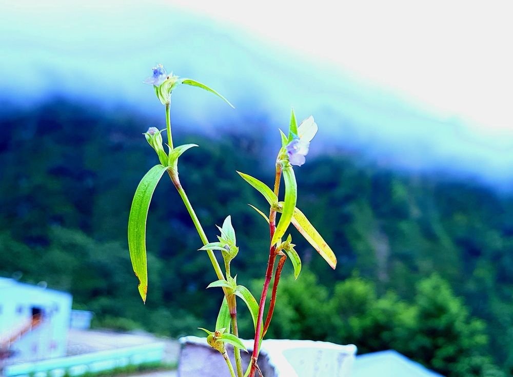 Photo #6421318