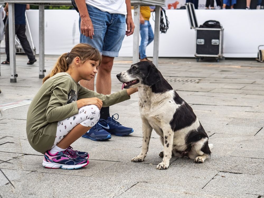 Photograph by Semion Ribinik