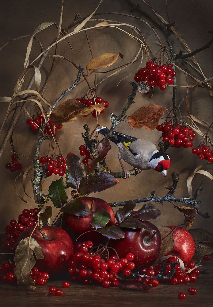 Photograph by Алена Кутникова