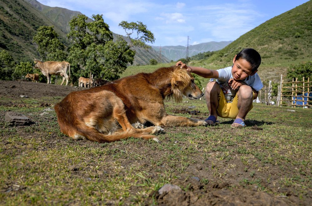 Photograph by Laima Kuriene