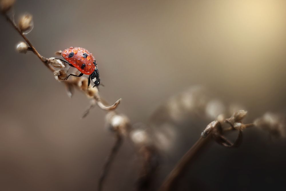 На прогулке