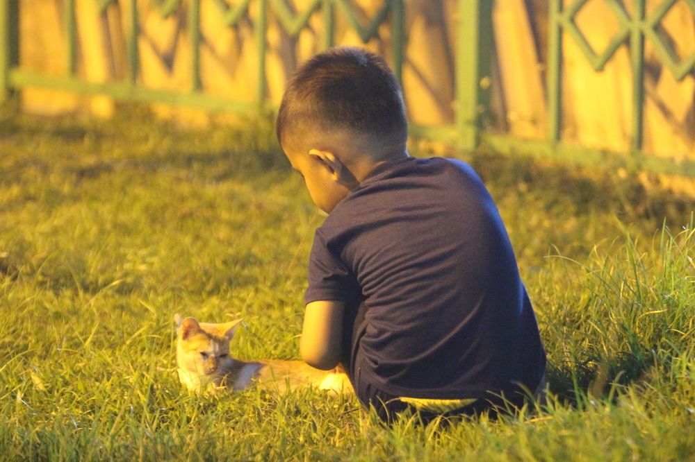 Photograph by Johan Bahder