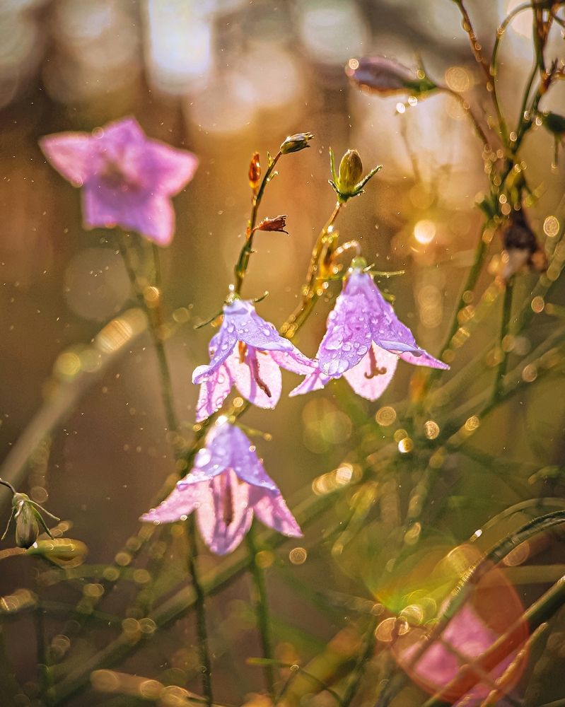 Photograph by Сергей Колос