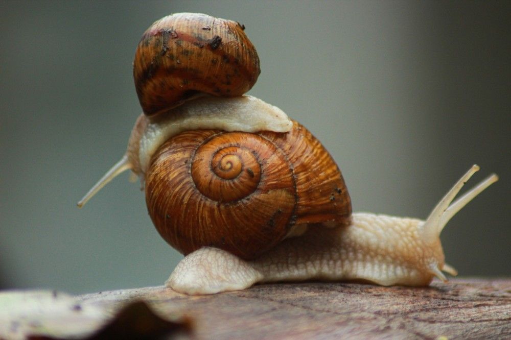 Photograph by Тэтью Лютая