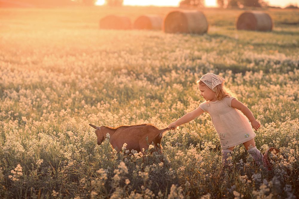 Photograph by Денисова Анжелика
