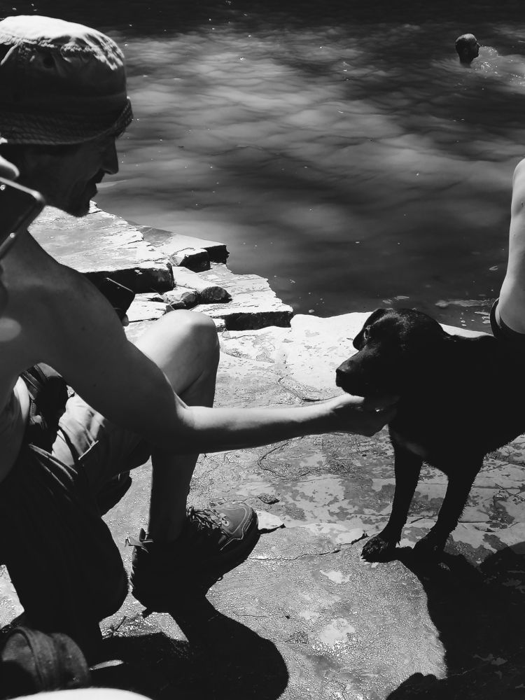 Photo #6421749