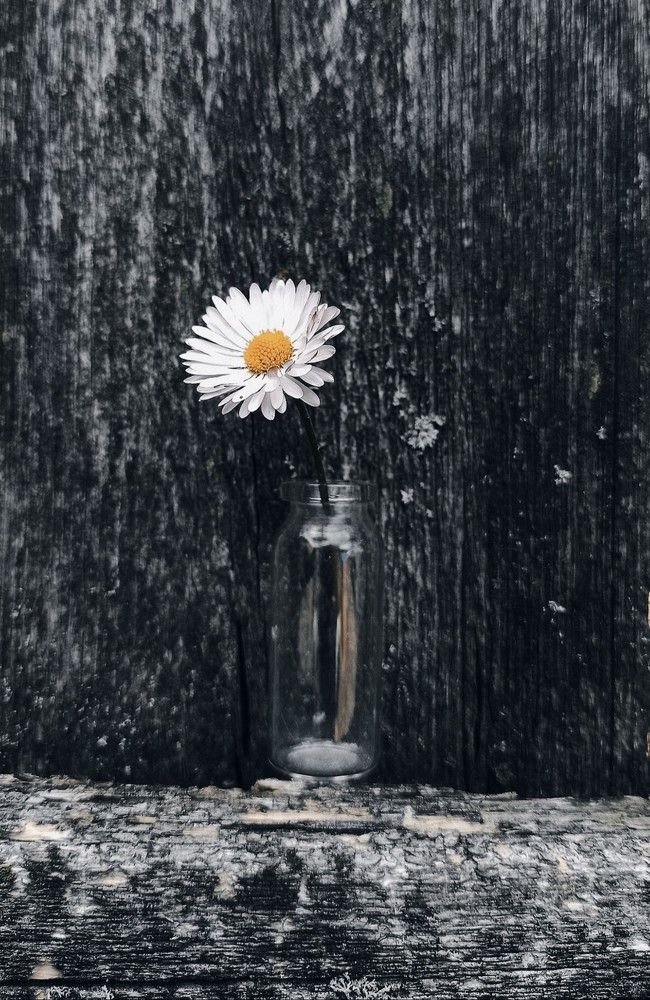 Photograph by Галина Мицевич