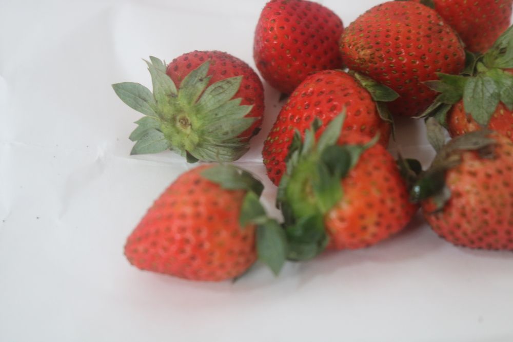 Photograph by Deasy Junita Dhani Hidayana