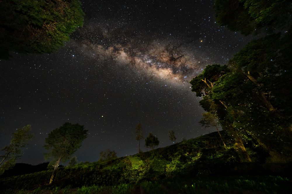 Photograph by Roshan Premathilaka