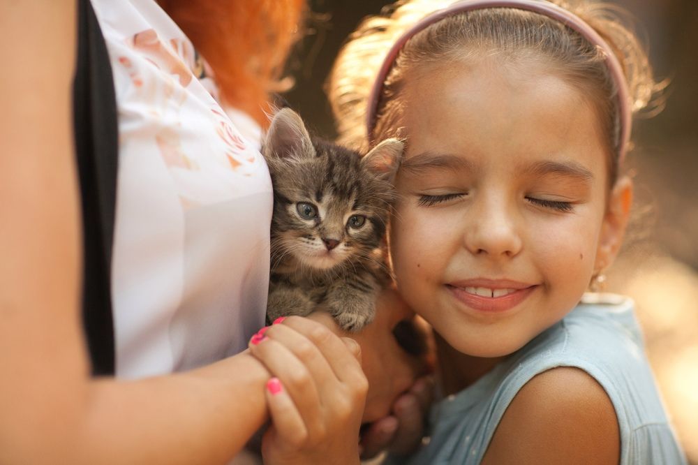 Photograph by Anton Surkov