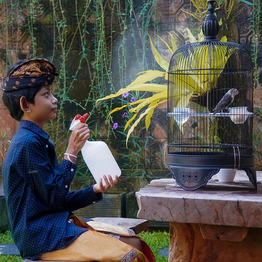 Фотография автора Tri Arya Dhyana K.