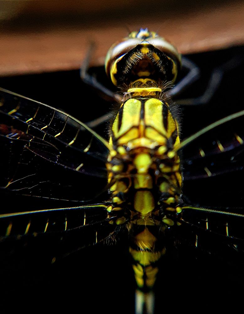 Photograph by Dileeka Giyantha Liyana Kankanamge