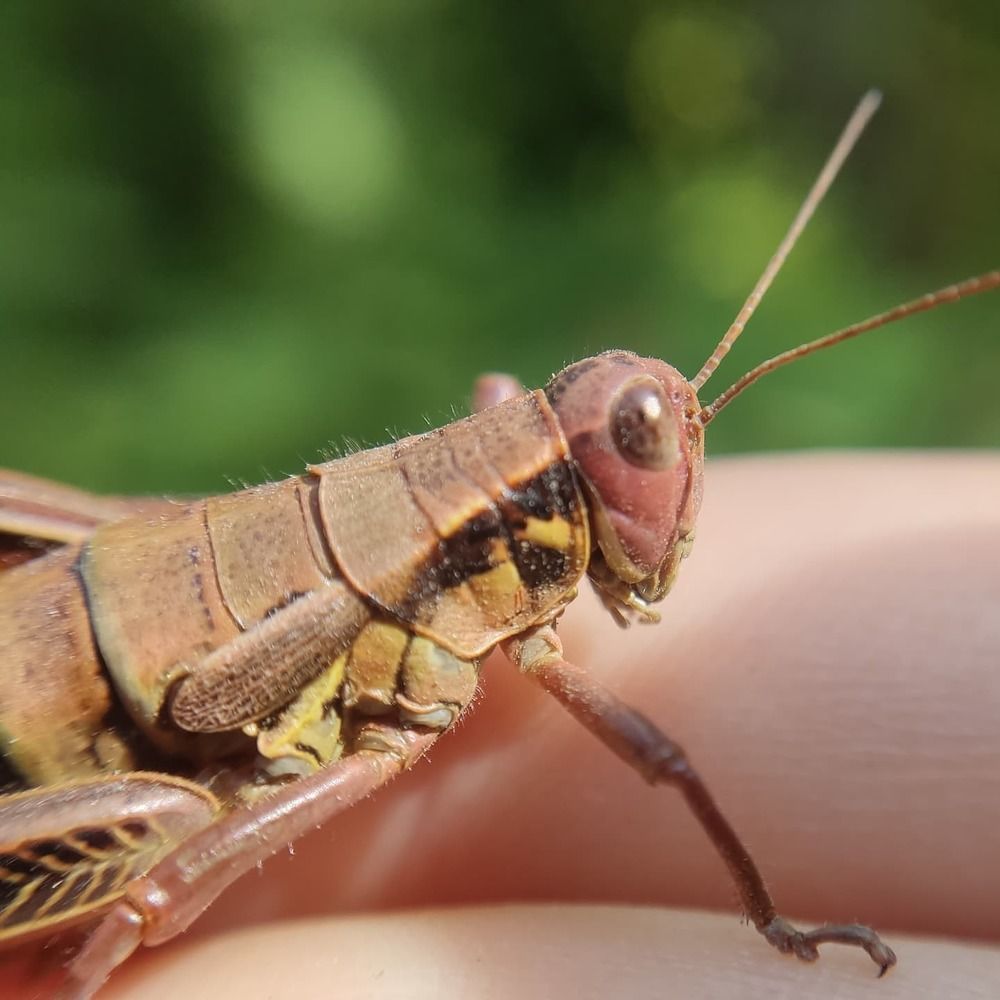 Фотография автора Станислав Ермолин