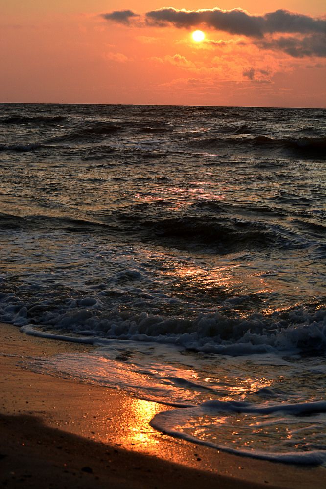 Photograph by БРОВКО АЛЕКСАНДР ИВАНОВИЧ