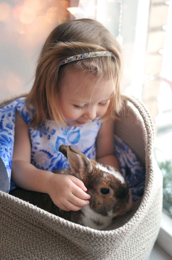 Фотография автора Анна Ершова