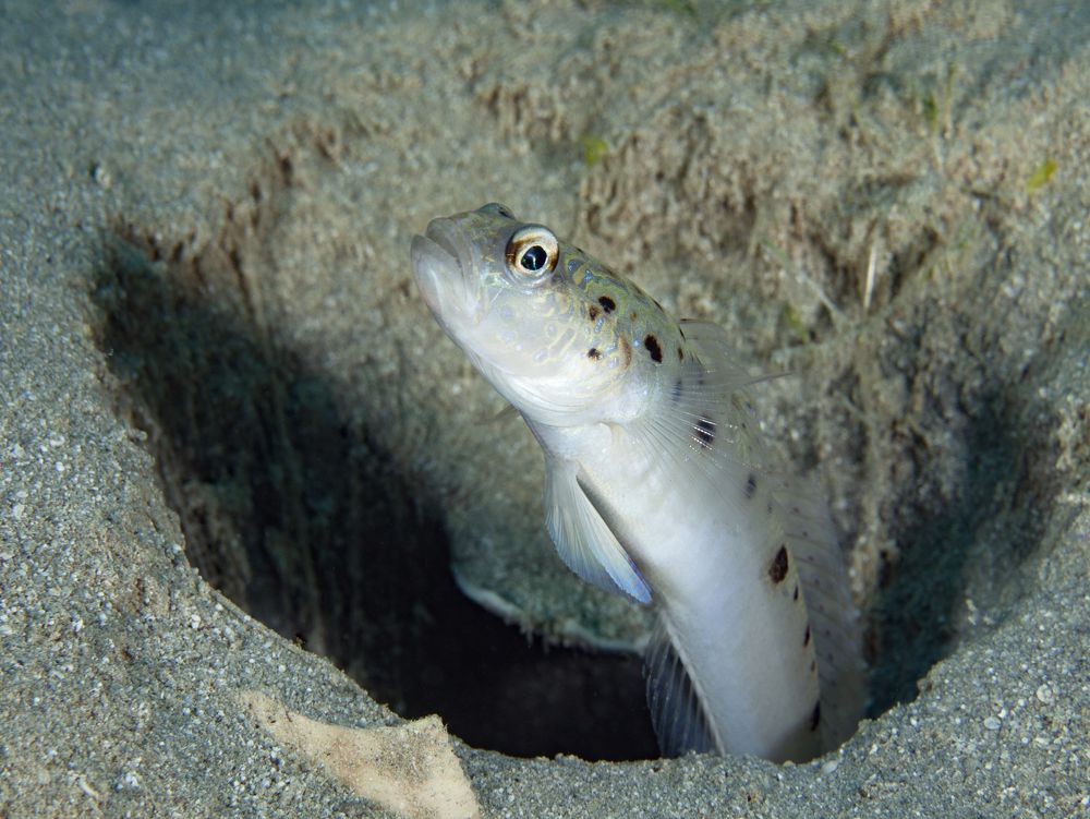 Photograph by Юрий Перевозников