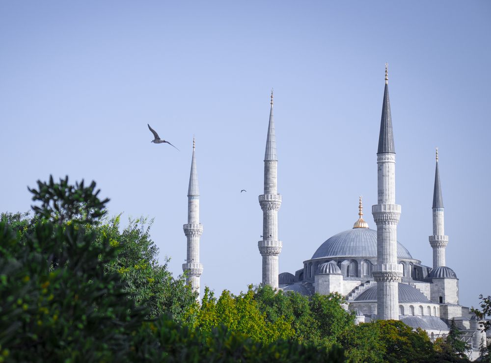 Photograph by Евгения Боровицкая