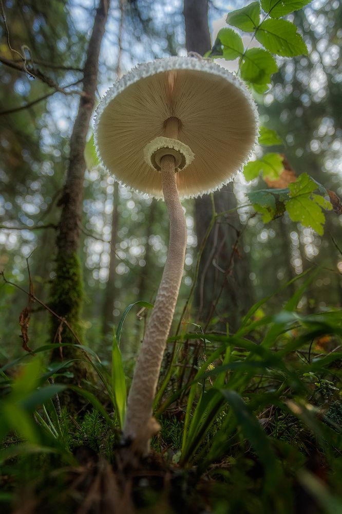 Photograph by Николай Андреев