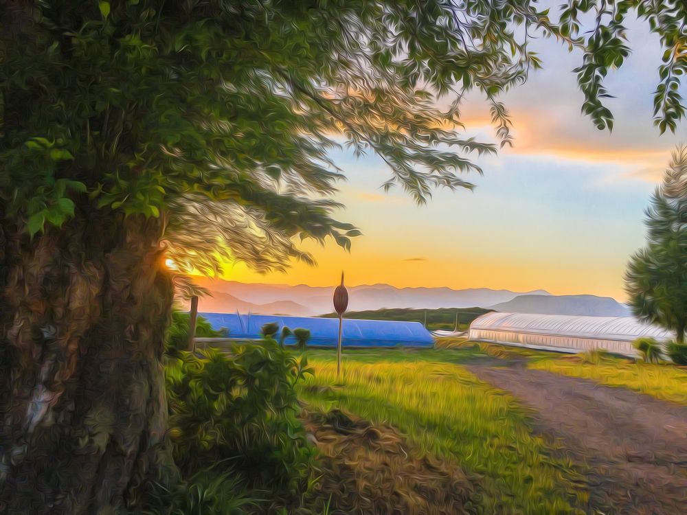 Photograph by Thị Trung Anh Đỗ