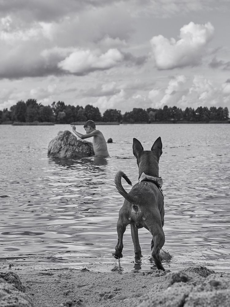 Photograph by андрей гусев