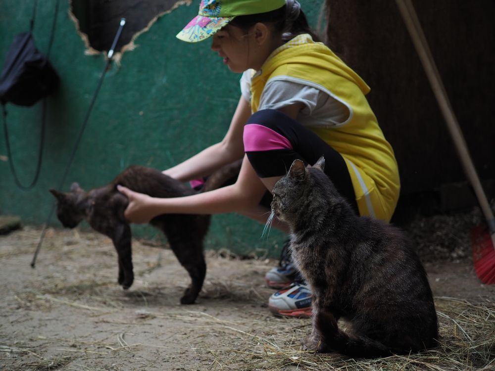 Photograph by андрей гусев