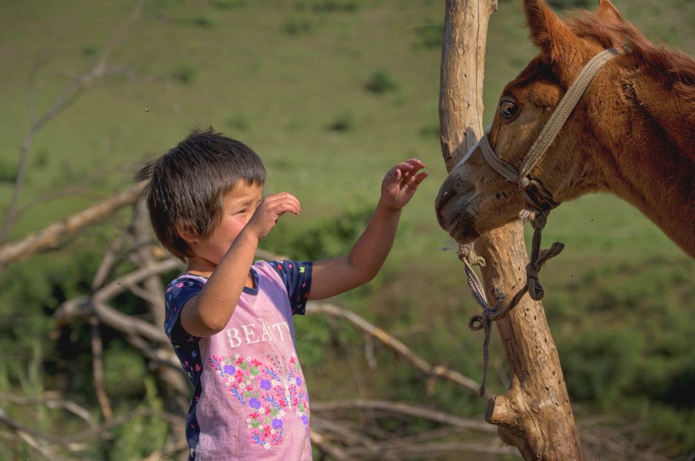 Photograph by Laima Kuriene