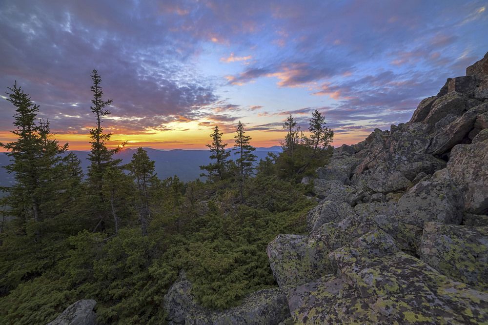 Photograph by Елена Перминова