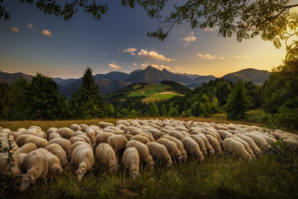 Фотография автора Jozef Sadecky