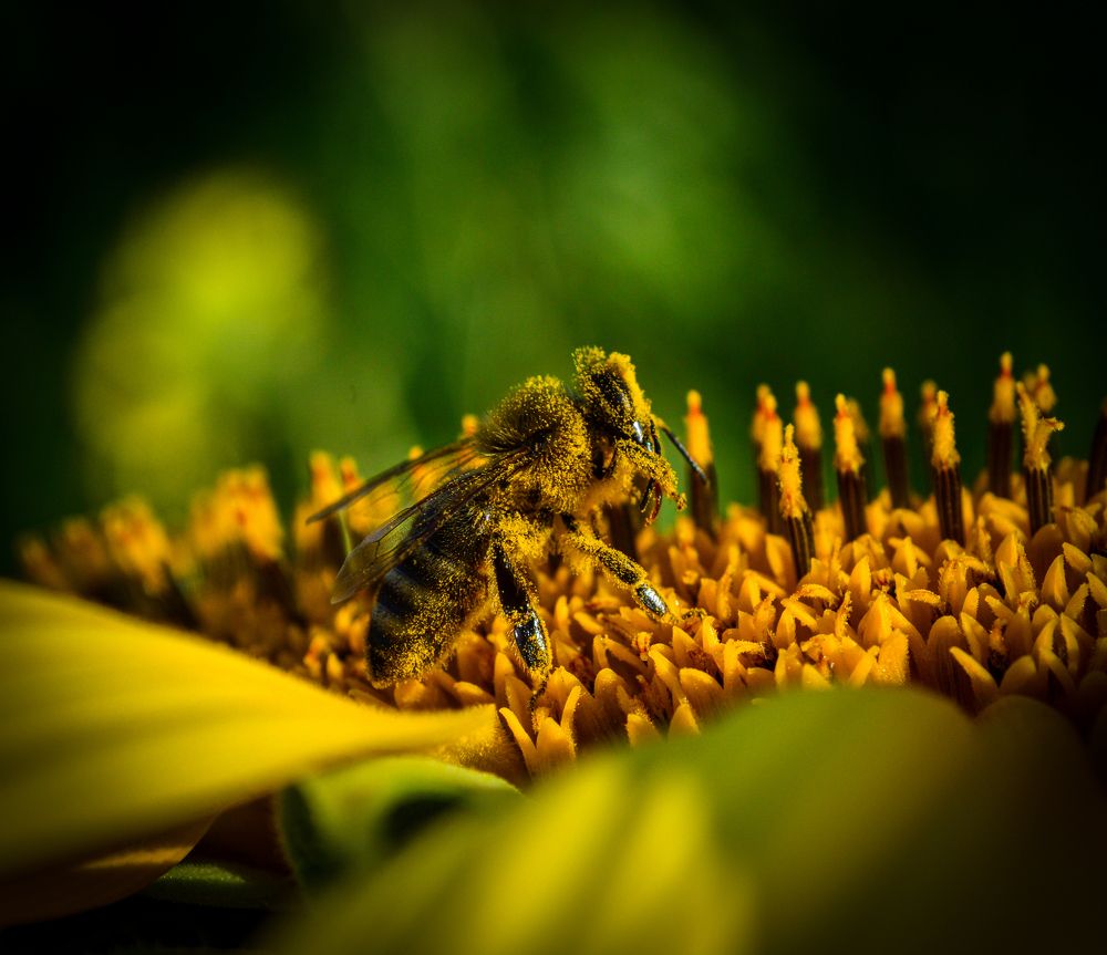 Photograph by Ренджа Шарип