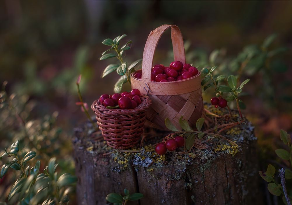 Photograph by Марина Мурашова