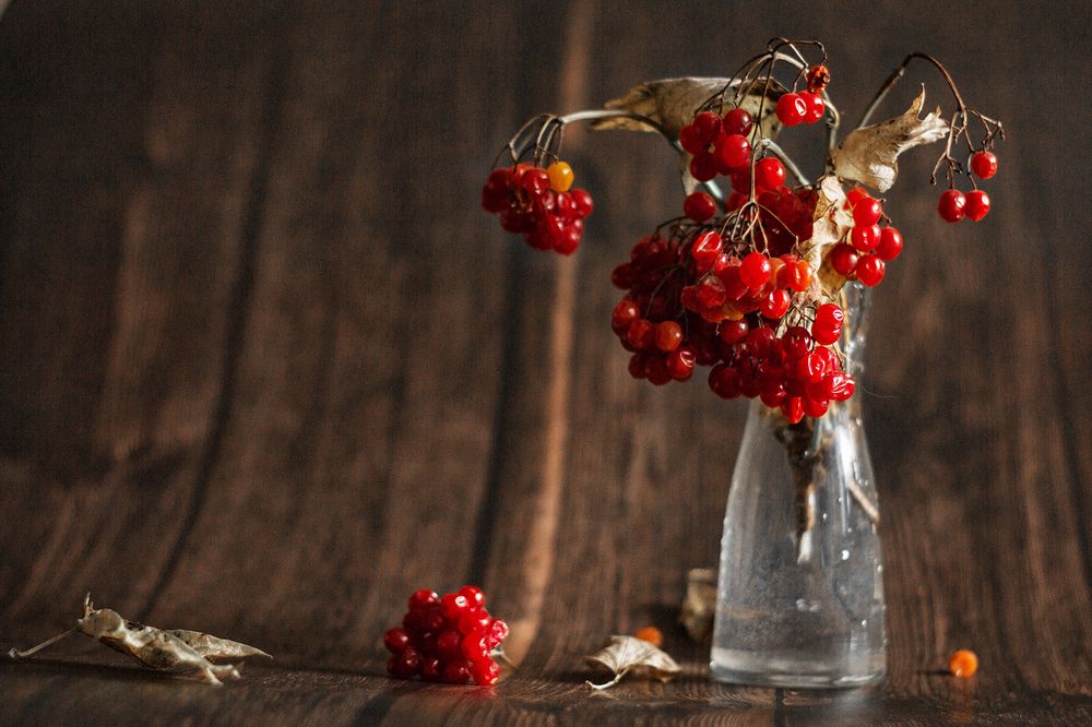 Photograph by Алена