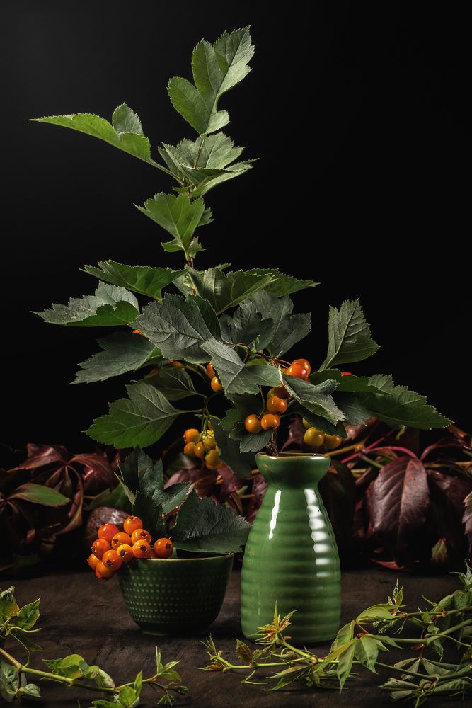 Photograph by Константин Щербаков