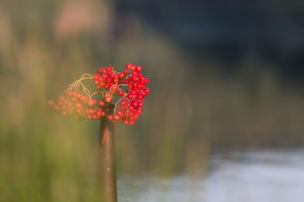 Фотография автора Андрій Лучишин