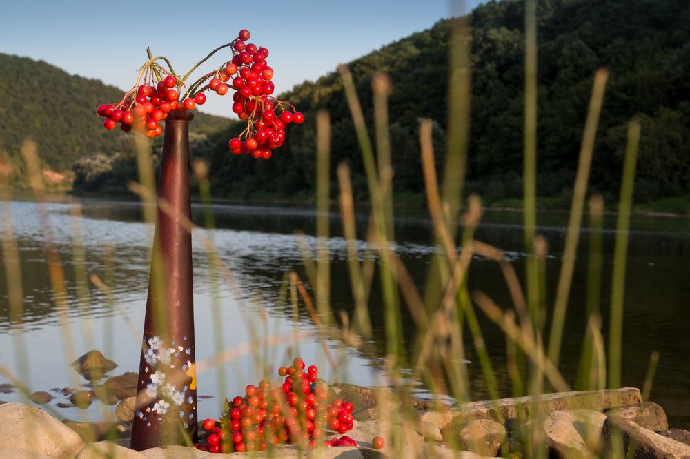 Фотография автора Андрій Лучишин