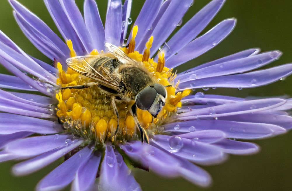 Photograph by Дмитрий Портных