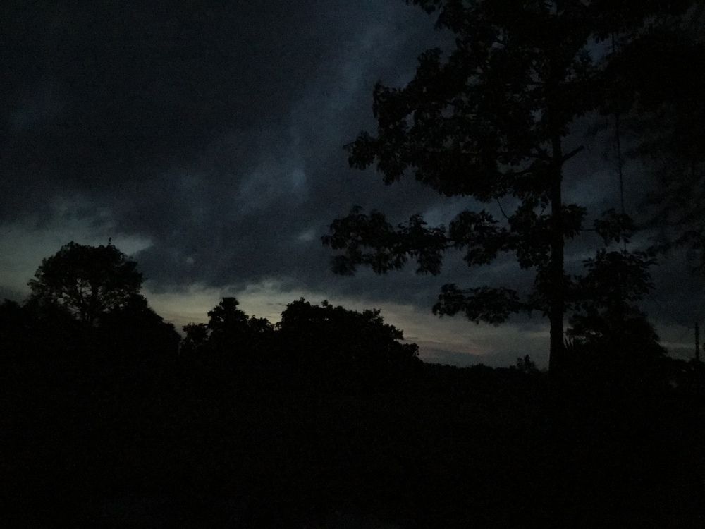 Dark love