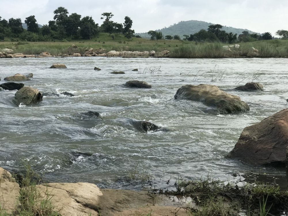 Flow of life