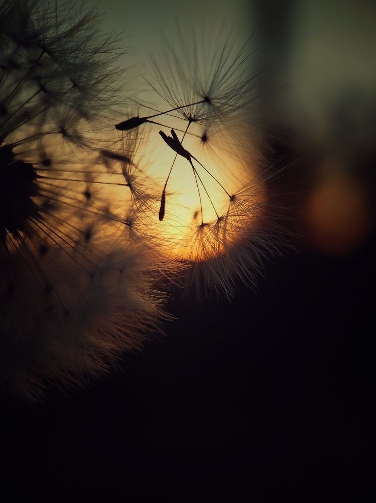 Photograph by Ольга Юминова