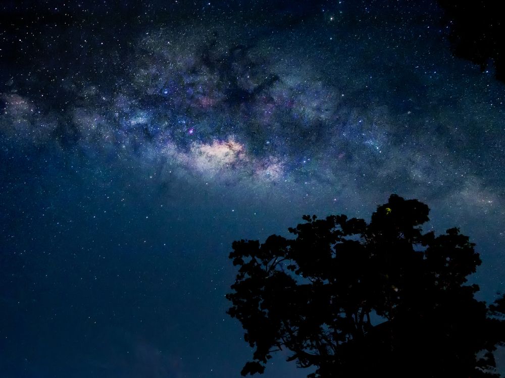 Photograph by Kanishka Jeewantha