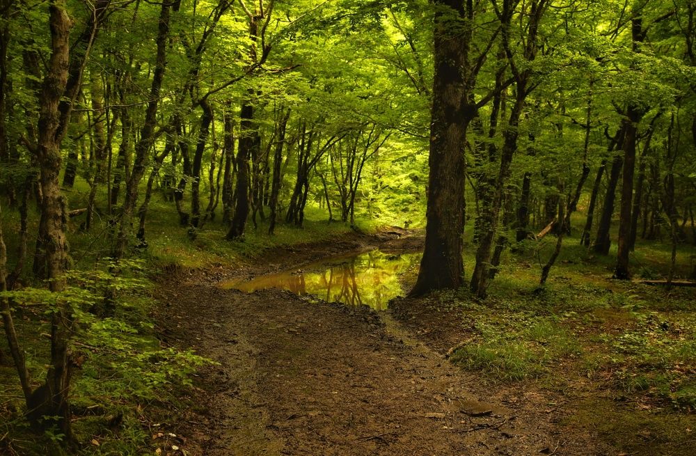 Photograph by Михаил Саидов