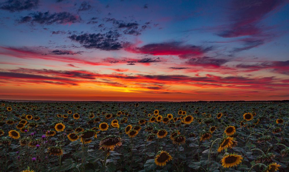 Photograph by Владислав Кулиш