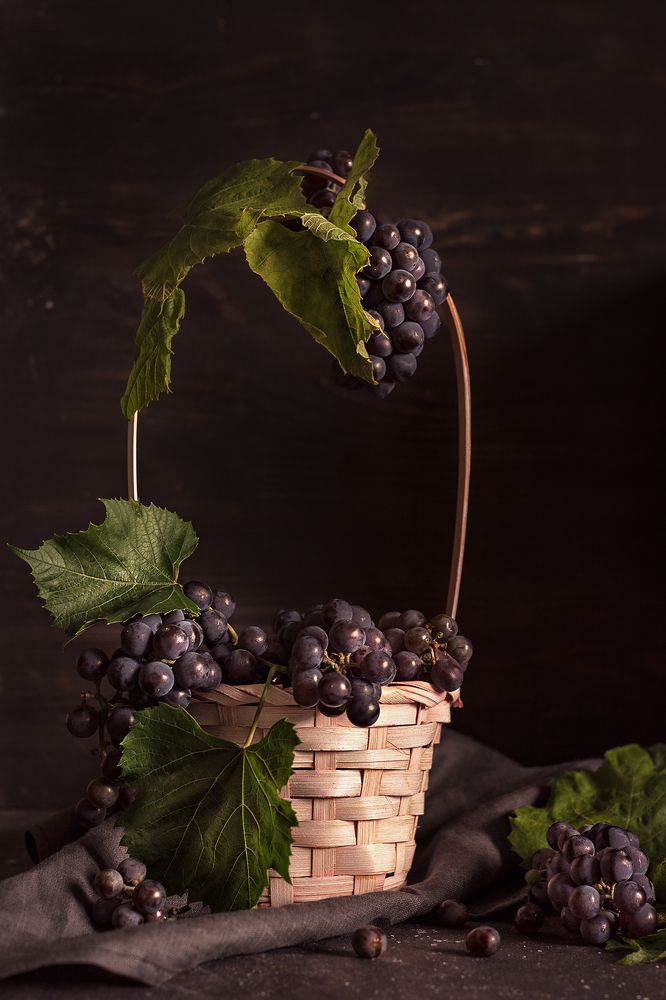 Photograph by Елена Стещенко